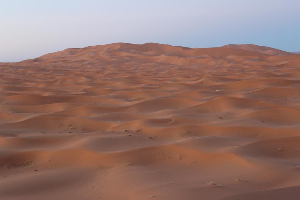 Galaxy Desert Camp מרזאוגה מראה חיצוני תמונה